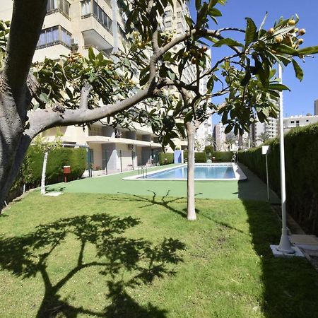 Mariscal 4 - Fincas Arena Benidorm Kültér fotó