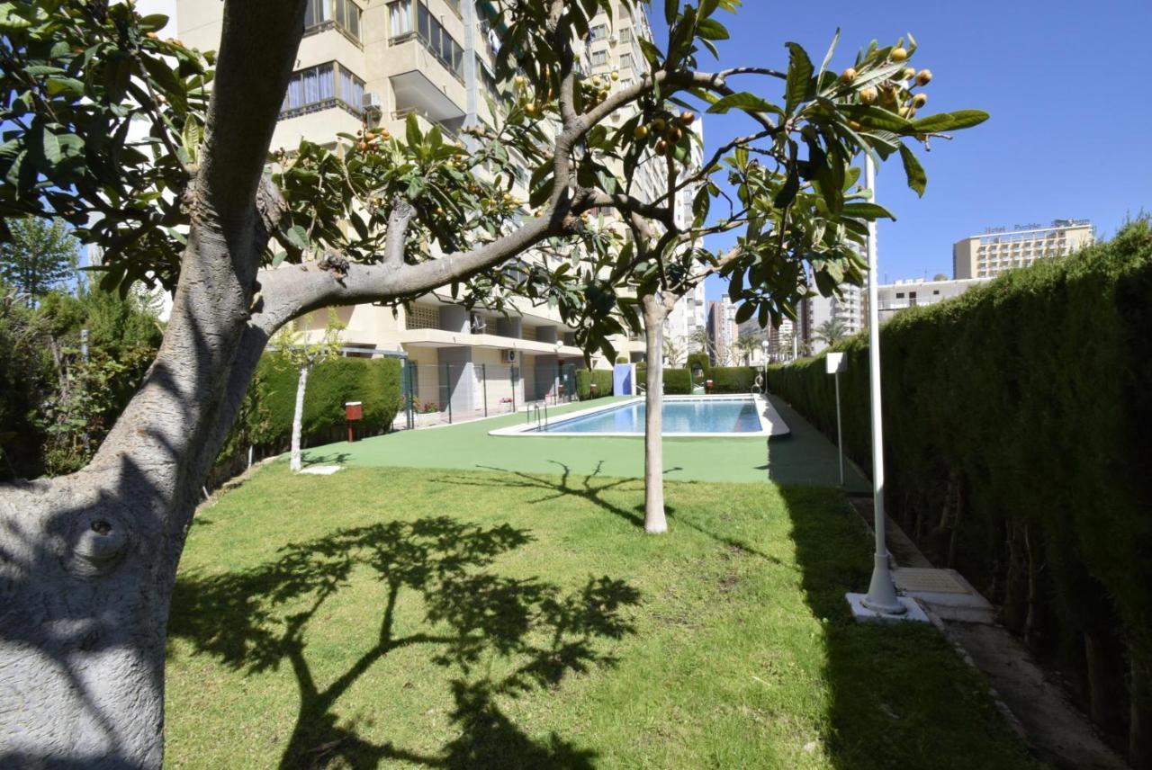 Mariscal 4 - Fincas Arena Benidorm Kültér fotó